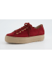 Paul Green Leder-Sneakers in Bordeaux