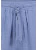 Sublevel Shorts in Blau