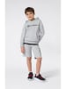 Champion Hoodie in Grau