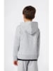 Champion Hoodie grijs