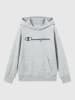 Champion Hoodie grijs
