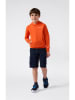 Champion Cargoshorts in Dunkelblau