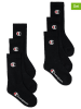 Champion 6-delige set: sokken zwart