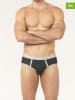 COTONELLA 2er-Set: Slips in Grau/ Schwarz