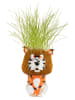 Garden Hero Graspop - (H)10 x Ø 10 cm (verrassingsproduct)