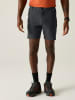 Regatta Functioneel short "Mountain" antraciet