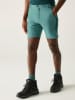 Regatta Functioneel short "Mountain" turquoise
