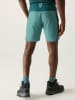 Regatta Funktionsshorts "Mountain" in Türkis