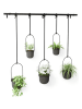 umbra Hängeblumentopf in Schwarz - (B)138 x (H)95 x (T)18 cm