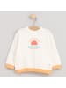 Cotton Fish Bluza w kolorze kremowym