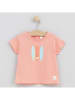 Cotton Fish Shirt in Orange