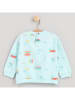 Cotton Fish Sweatshirt in Türkis