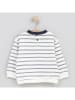 Cotton Fish Sweatshirt in Creme