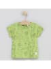 Cotton Fish Shirt in Grün