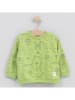 Cotton Fish Bluza w kolorze zielonym