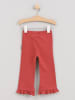 Cotton Fish Sweathose in Rot