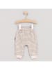 Cotton Fish Sweathose in Beige