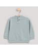 Cotton Fish Sweatshirt in Türkis