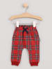 Cotton Fish Sweathose in Rot