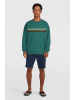 O'Neill Sweatshirt "O'riginals" turquoise