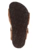 Birkenstock Leren sandalen lichtbruin