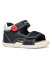 Geox Sandalen "Tapuz" donkerblauw