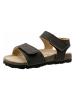 lamino Sandalen bruin