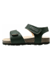 lamino Sandalen groen