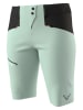 DYNAFIT Funktionsshorts "TRANSALPER" in Mint
