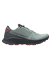 DYNAFIT Trailrunningschuhe "Ultra 100 GTX" in Mint