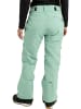 Burton Ski-/ Snowboardhose "[ak] Summit GORE-TEX 2L" in Mint