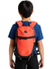 Burton Wanderrucksack "Day Hiker 12L" in Orange