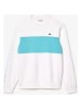 Lacoste Bluza w kolorze biało-turkusowym