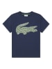 Lacoste Kids Shirt in Dunkelblau