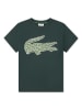 Lacoste Kids Koszulka w kolorze zielonym