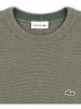 Lacoste Kids Sweter w kolorze khaki