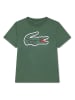 Lacoste Kids Koszulka w kolorze zielonym