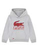 Lacoste Kids Hoodie grijs