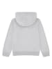 Lacoste Kids Hoodie grijs