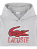 Lacoste Kids Hoodie grijs