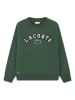 Lacoste Kids Bluza w kolorze zielonym