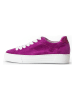 Gabor Leder-Sneakers in Lila