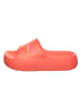 Tommy Hilfiger Shoes Klapki w kolorze czerwonym