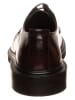 Calvin Klein Leder-Schnürschuhe in Schwarz