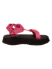 Calvin Klein Sandalen in Pink