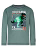 Salt and Pepper Longsleeve groen
