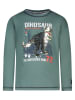 Salt and Pepper Longsleeve groen