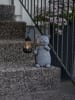 STAR Trading LED-Solar-Dekoration "Smilla" in Grau - (B)22 x (H)29,5 x (T)13 cm - Ø 0,00