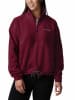 Columbia Bluza polarowa "Brushy Bay" w kolorze czerwonym