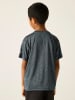 Regatta Funktionsshirt "Alvarado" in Grau